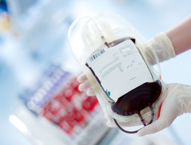 Healthcare professional holding a blood bag made out of PVC.